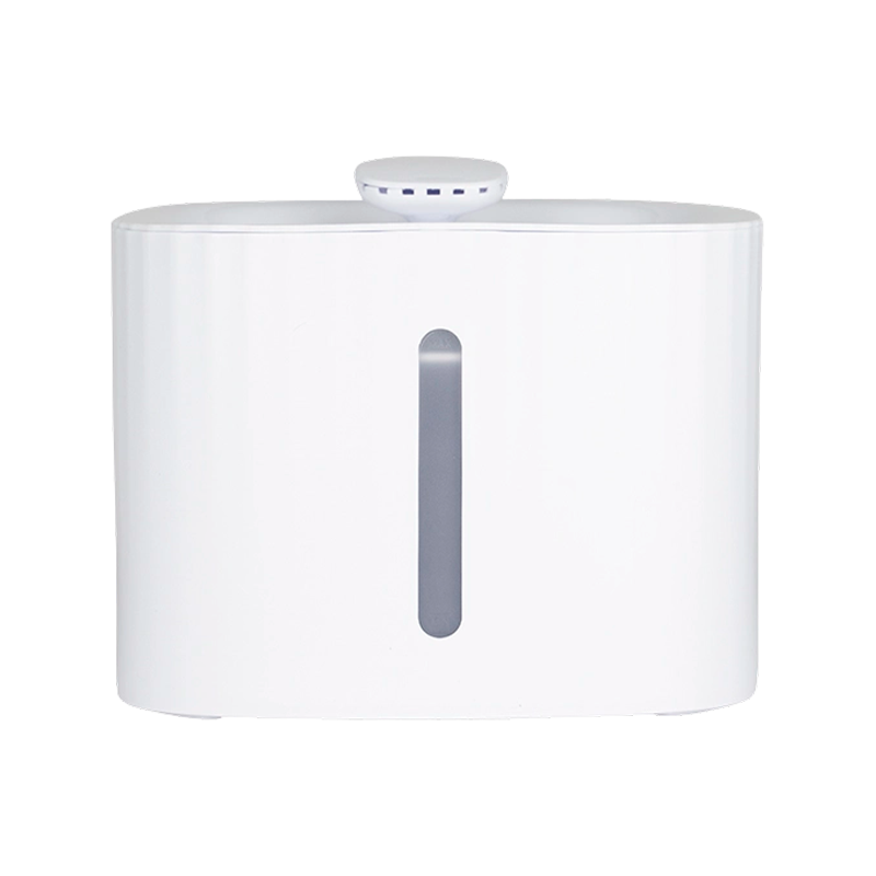 রাতে দৃশ্যমান নীরব জলের ফোয়ারা